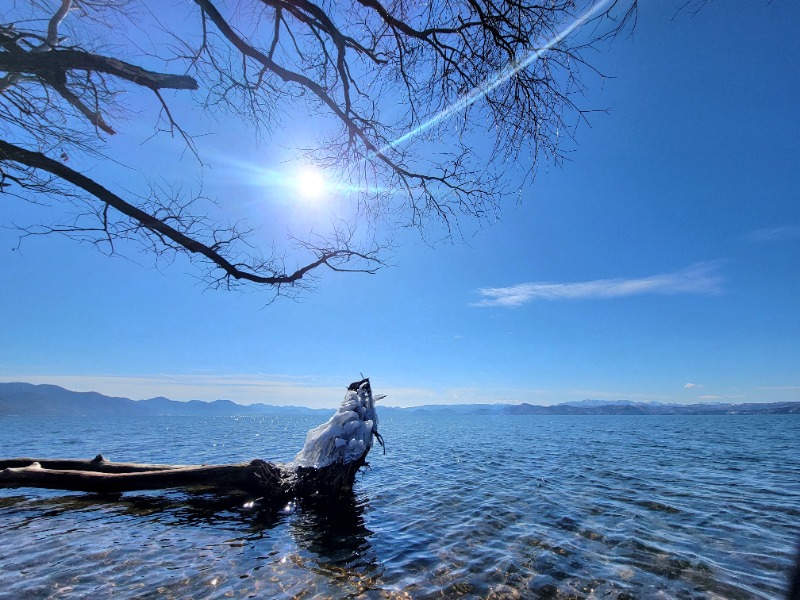 よーこさんの新鶴温泉 んだのサ活写真