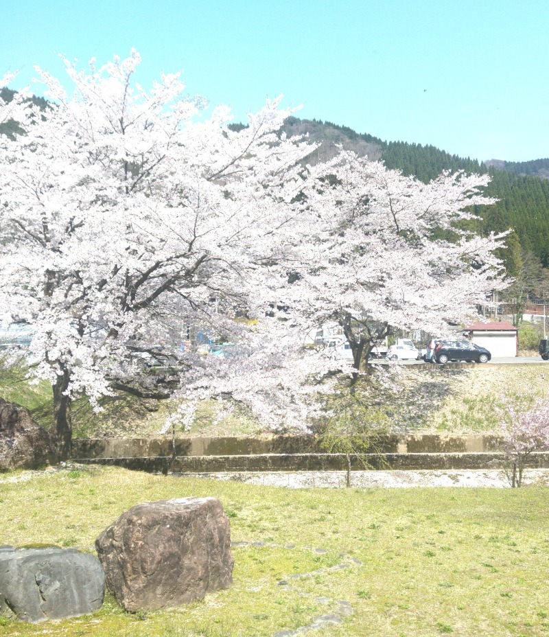 さおりさんの渓流温泉 冠荘のサ活写真