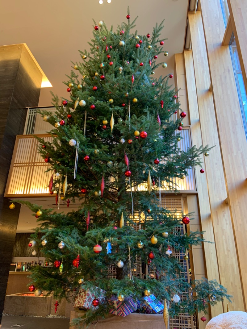 ゆきさんの綱島源泉 湯けむりの庄のサ活写真