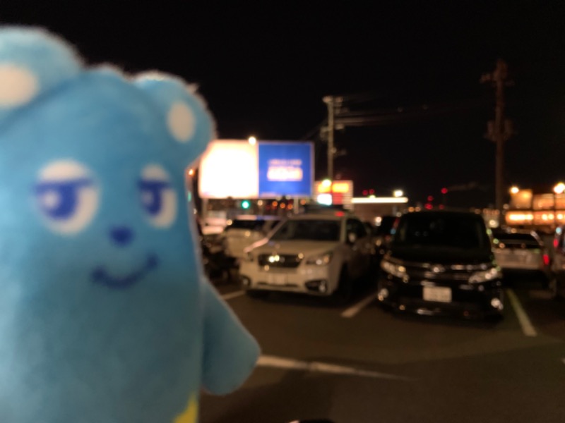 ゆきさんのファンタジーサウナ&スパおふろの国のサ活写真