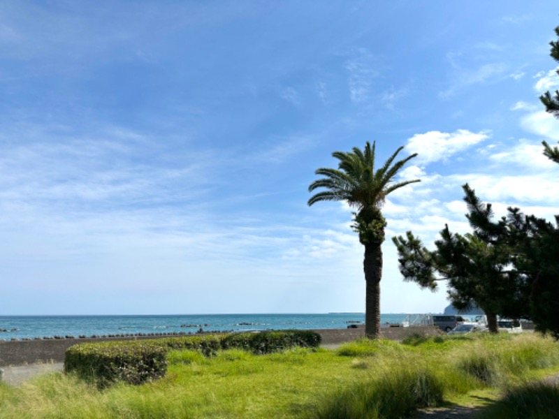 フジサキさんの用宗みなと温泉のサ活写真