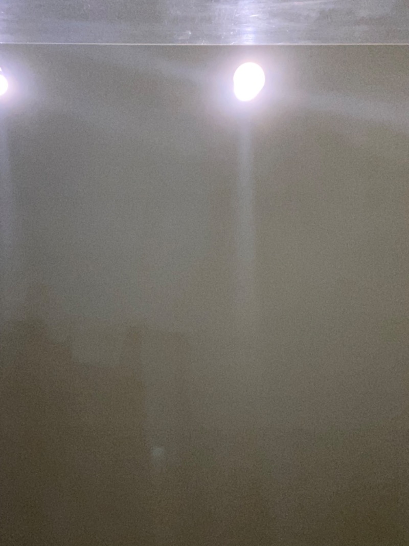 - SID -さんのガーデンサウナ蒲田 (カプセルイン蒲田)のサ活写真