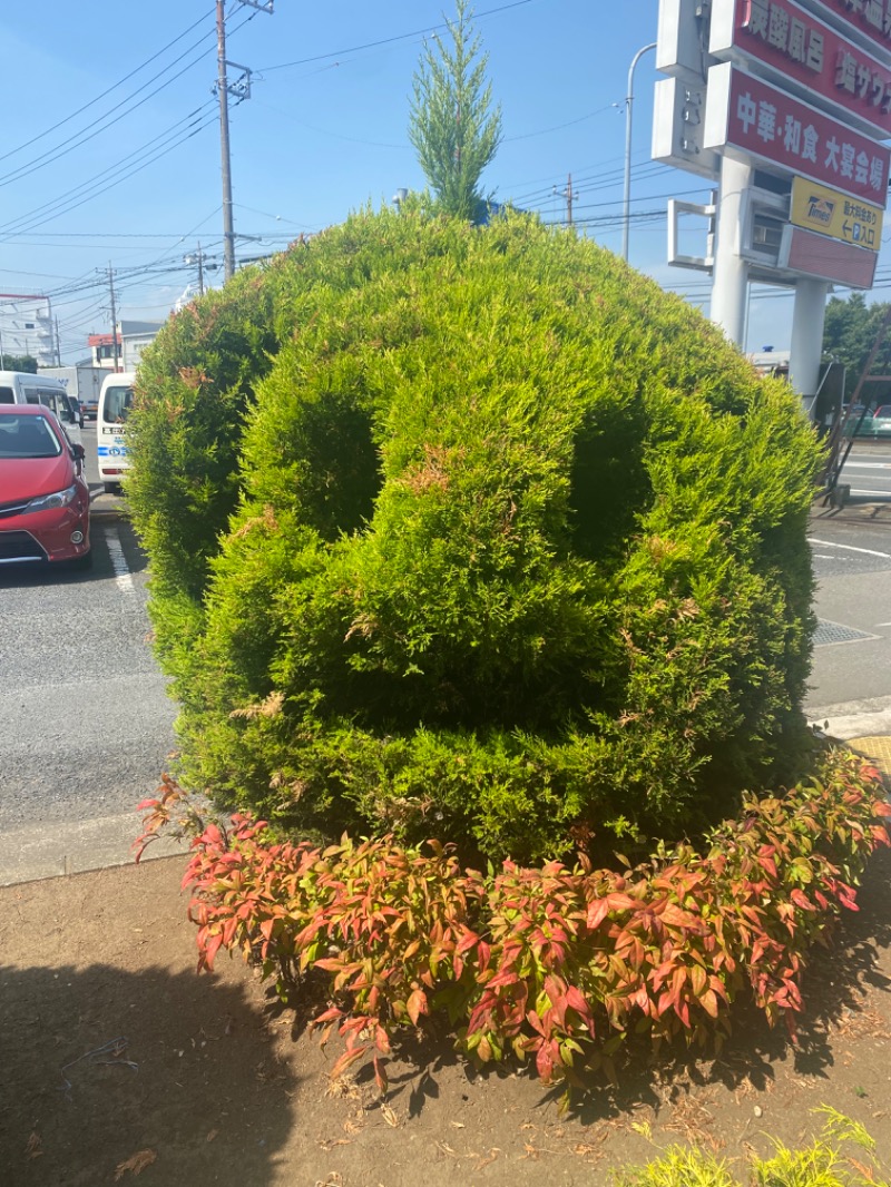 SIDさんの湯の泉 東名厚木健康センターのサ活写真