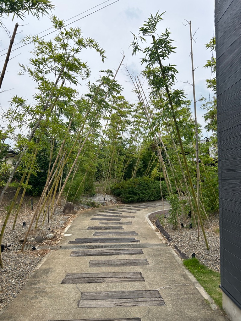 えびのしっぽさんのグランピング&テルマー湯 東松山滑川店のサ活写真