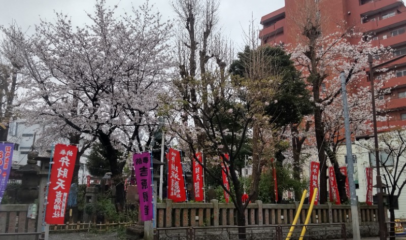 kumorumeganeさんの天然温泉 湯どんぶり栄湯のサ活写真