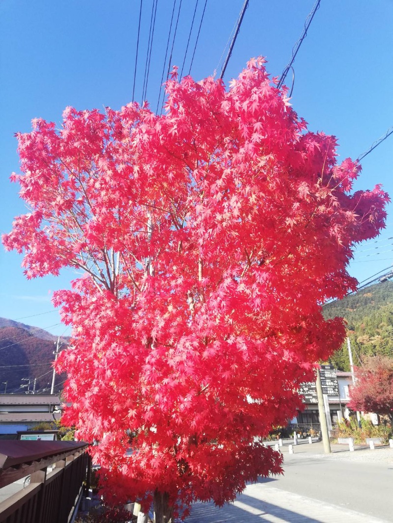 Ж'iliahi kuniЖさんの河口湖 ホテル 桜庵のサ活写真