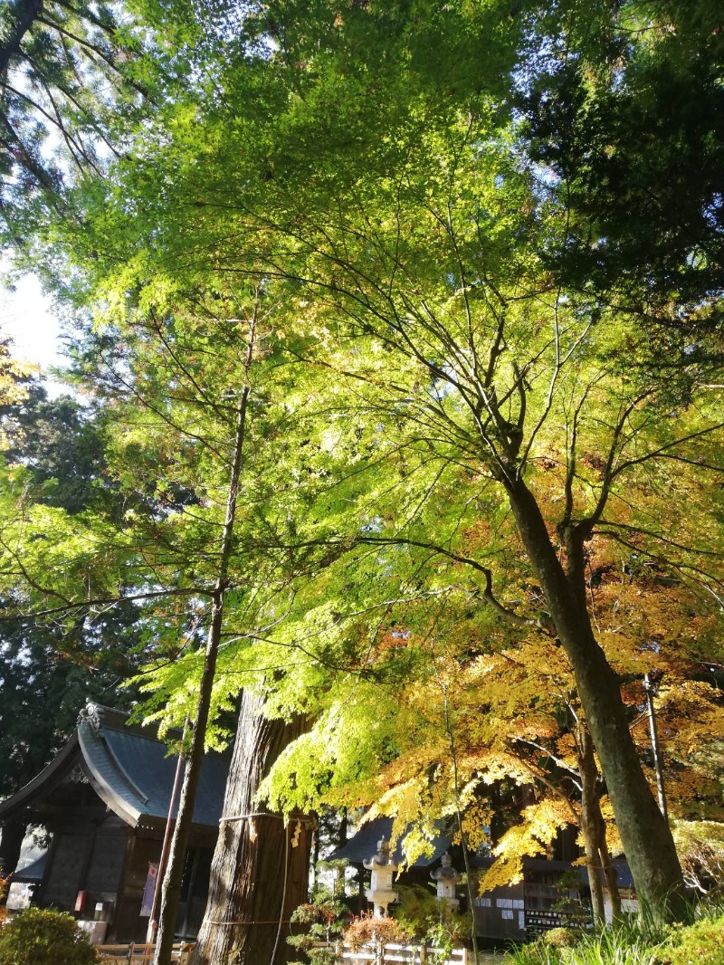 Ж'iliahi kuniЖさんの河口湖 ホテル 桜庵のサ活写真