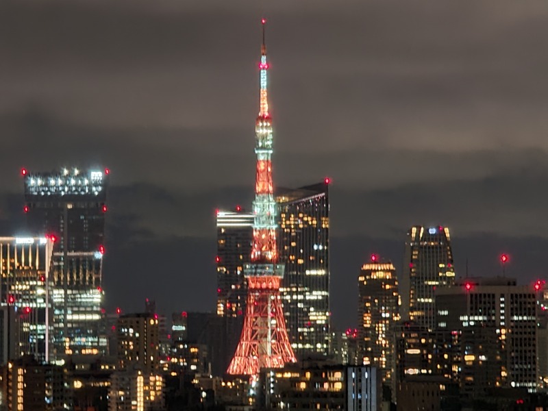 サウナマンさんのザ・プリンス さくらタワー東京、オートグラフ コレクション サウナ&ブロアバスのサ活写真