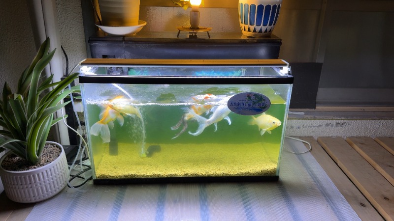 ちょくさんの星サウナのサ活写真