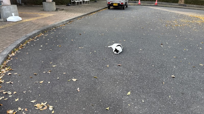 ちょくさんのビアスパークしもつまのサ活写真