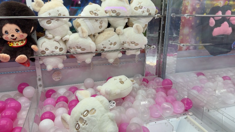 ちょくさんの竜泉寺の湯 草加谷塚店のサ活写真