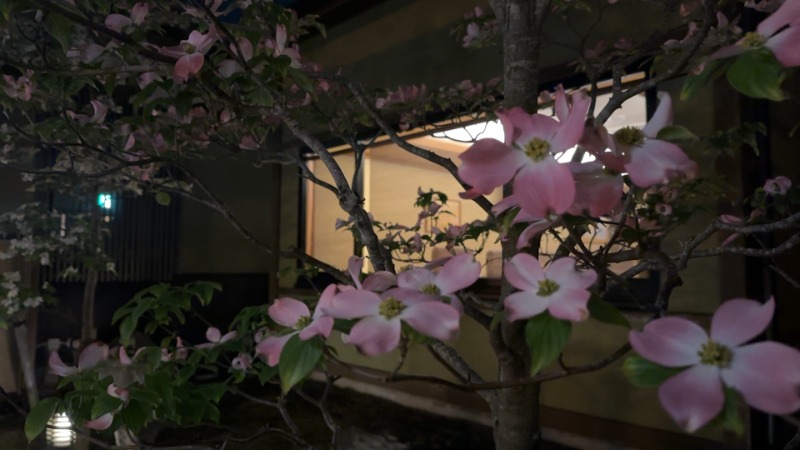 ちょくさんの市原温泉 湯楽の里のサ活写真