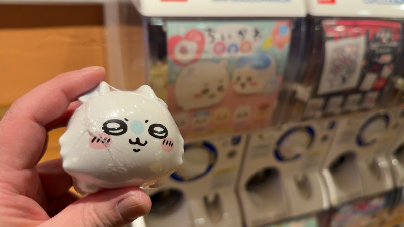 ちょくさんののだ温泉 ほのかのサ活写真