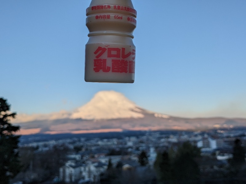 だんなっつるさんの天然温泉 富士桜の湯 ドーミーインEXPRESS富士山御殿場のサ活写真