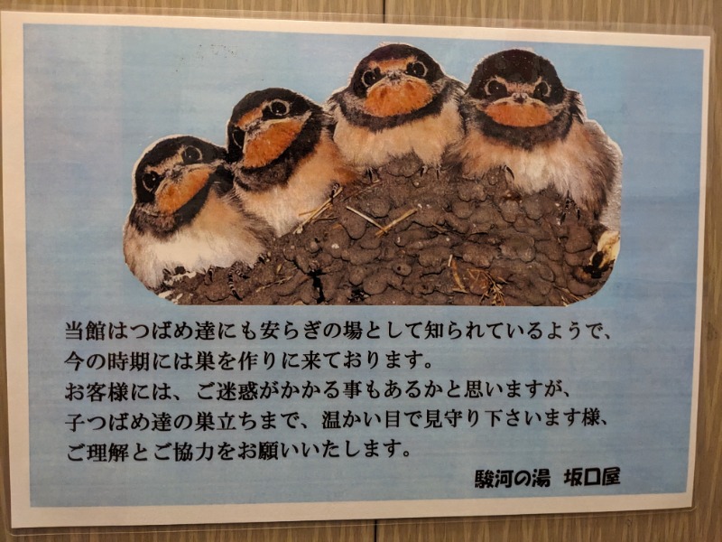 だんなっつるさんの駿河の湯 坂口屋のサ活写真