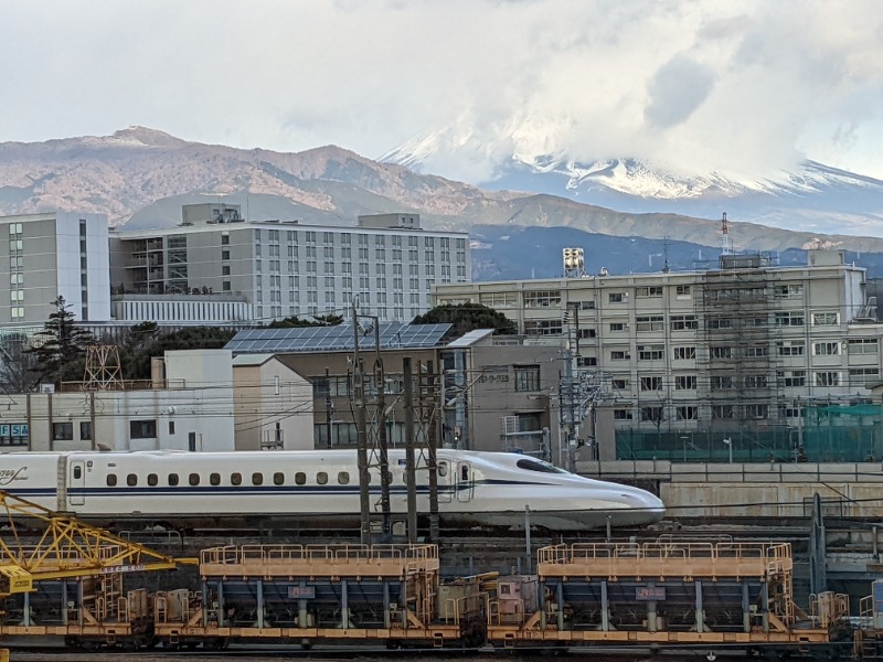 だんなっつるさんの富嶽の湯 ドーミーイン三島のサ活写真