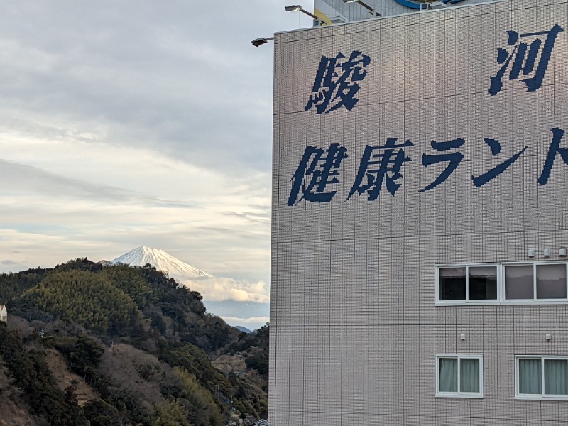 だんなっつるさんの駿河健康ランドのサ活写真