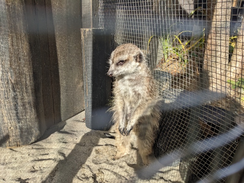 だんなっつるさんの観音温泉 プリンシプルのサ活写真