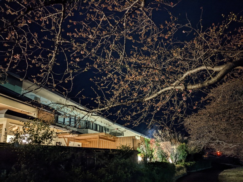 だんなっつるさんの下賀茂温泉 銀の湯会館のサ活写真