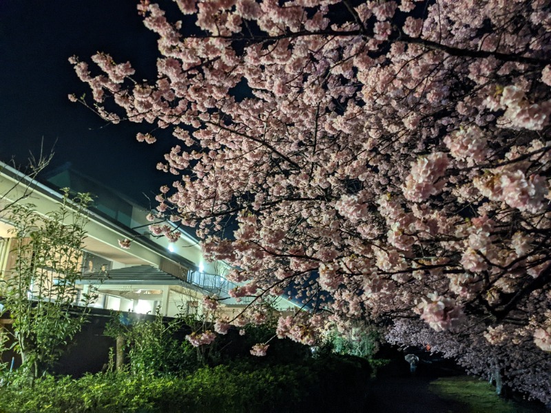 だんなっつるさんの下賀茂温泉 銀の湯会館のサ活写真