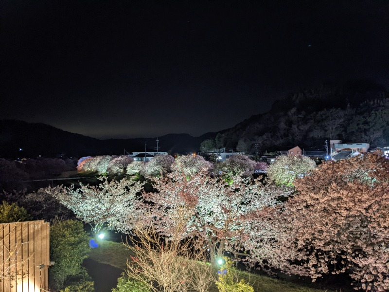 だんなっつるさんの下賀茂温泉 銀の湯会館のサ活写真