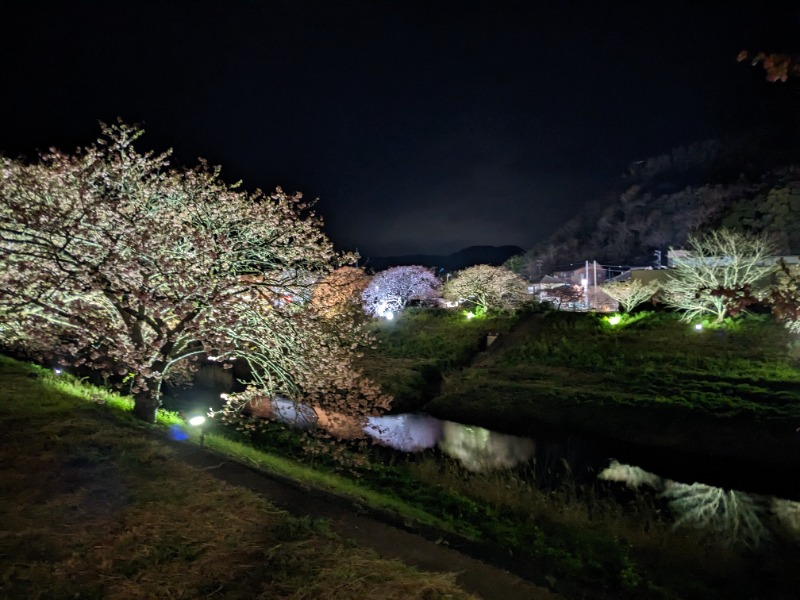 だんなっつるさんの下賀茂温泉 銀の湯会館のサ活写真