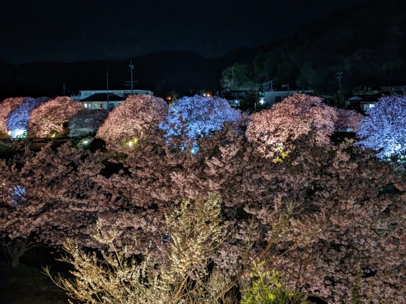 だんなっつるさんの下賀茂温泉 銀の湯会館のサ活写真
