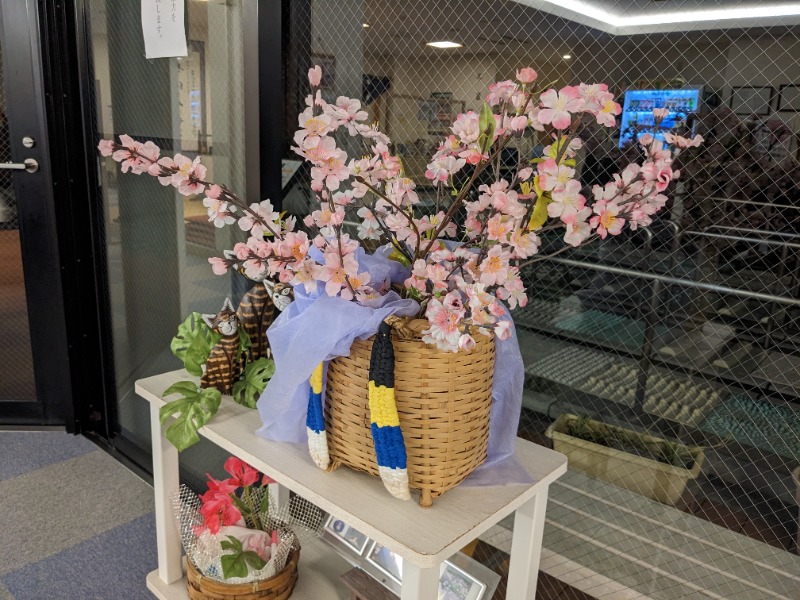 だんなっつるさんの下賀茂温泉 銀の湯会館のサ活写真