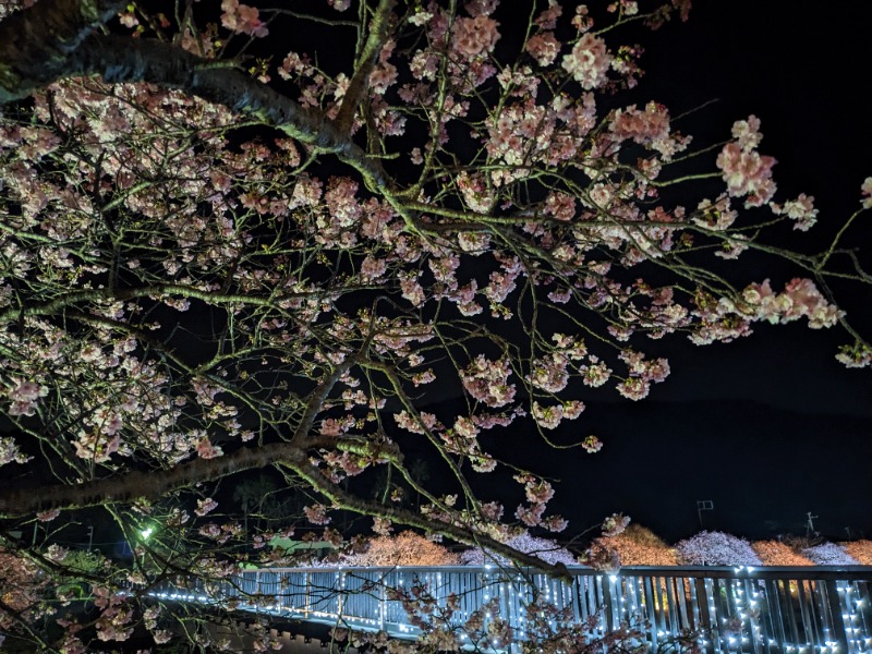 だんなっつるさんの下賀茂温泉 銀の湯会館のサ活写真