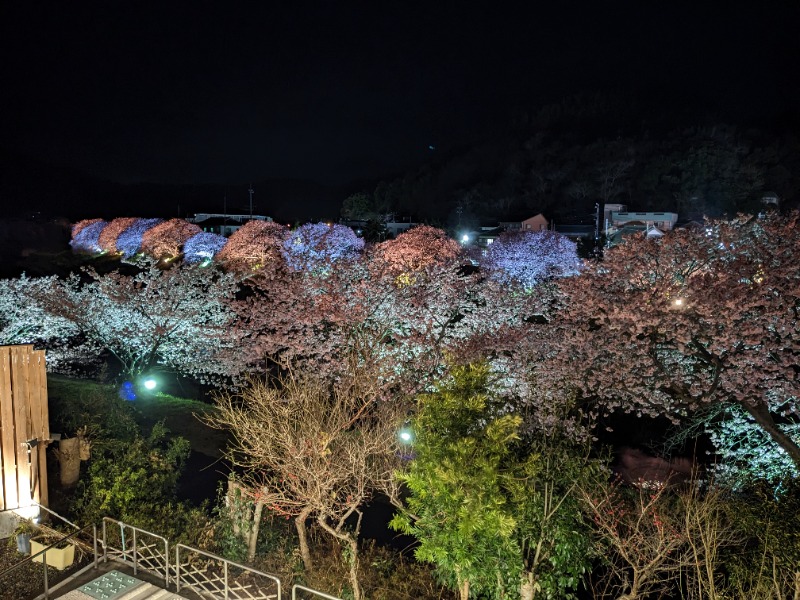 だんなっつるさんの下賀茂温泉 銀の湯会館のサ活写真