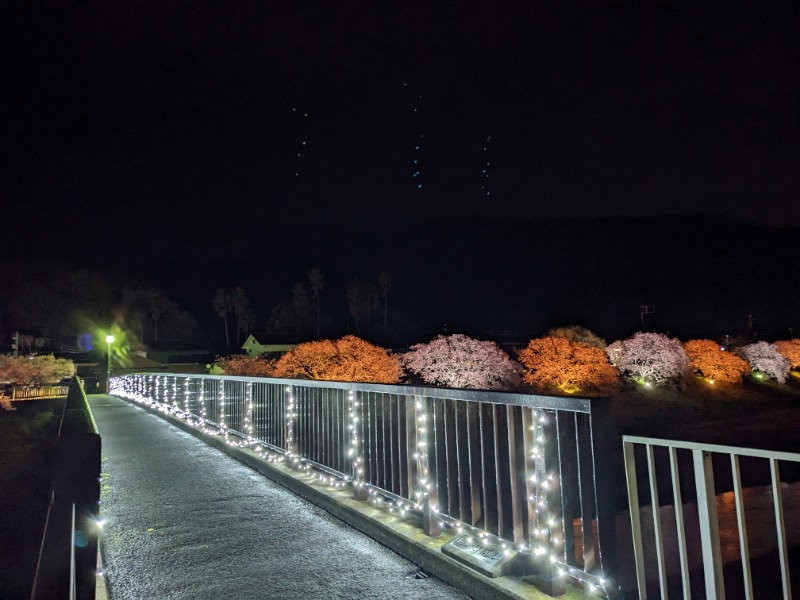 だんなっつるさんの下賀茂温泉 銀の湯会館のサ活写真