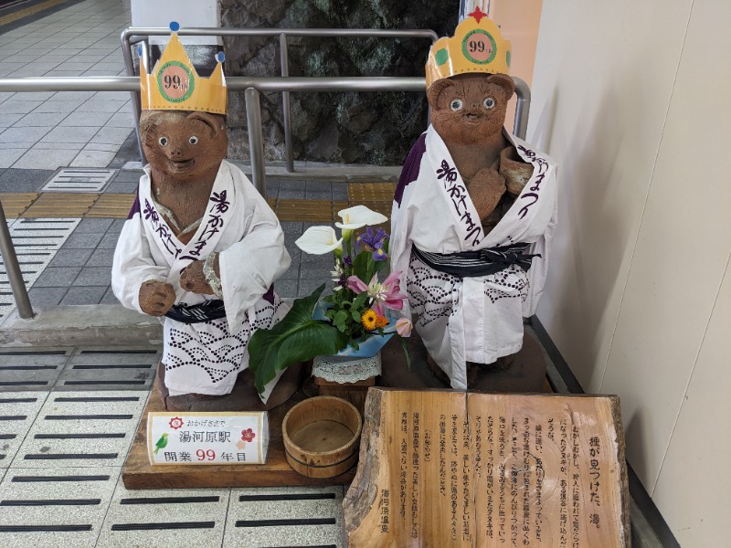 ソルト🦉さんのいずみの湯 (ニューウェルシティ湯河原)のサ活写真