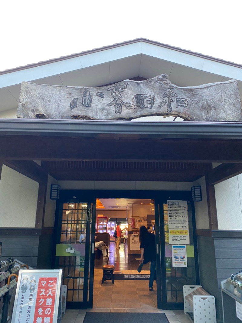 ルクたんさんの見沼天然温泉 小春日和のサ活写真