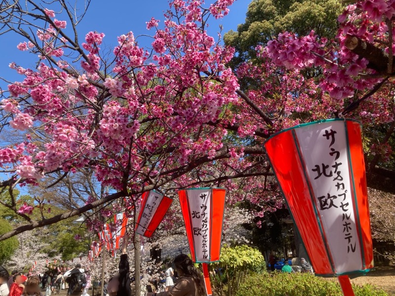 アイドルが世界を救うさんのサウナ&カプセルホテル 北欧のサ活写真