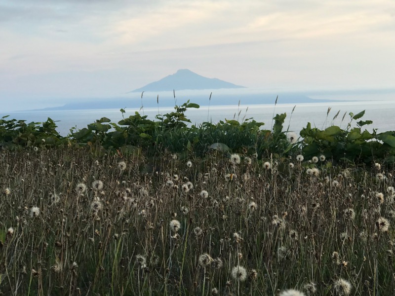 tacchy ブレないウソつかないさんの稚内温泉 童夢のサ活写真