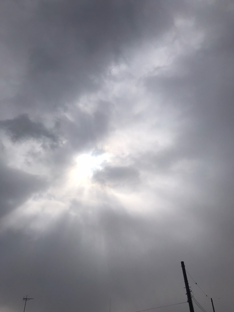 tacchy 魔都サッポロがスキすぎるさんのていね温泉ほのかのサ活写真