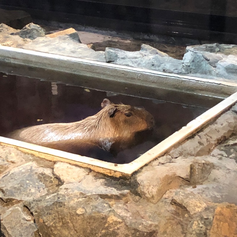 蹴汗サウナーさんの石狩天然温泉 番屋の湯のサ活写真