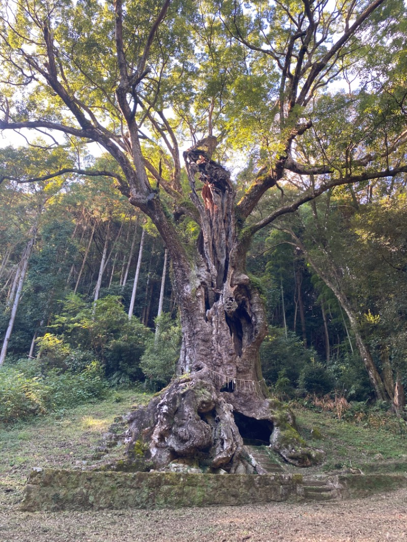 minachanさんの御船山楽園ホテル  らかんの湯のサ活写真