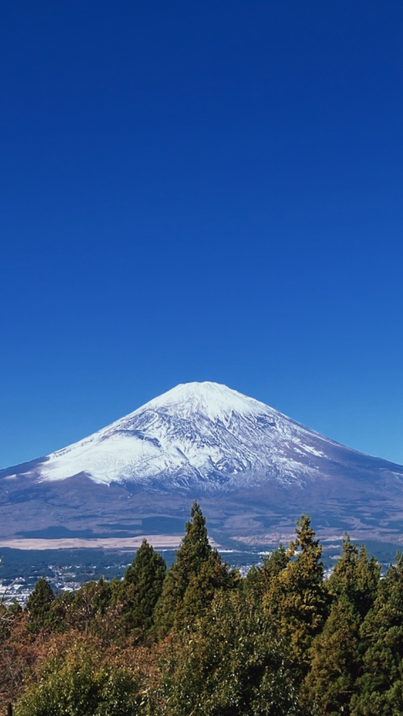 erikoさんの富士八景の湯のサ活写真