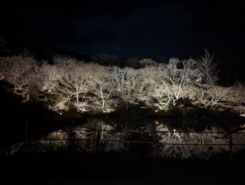 けんうっどさんの御船山楽園ホテル  らかんの湯のサ活写真