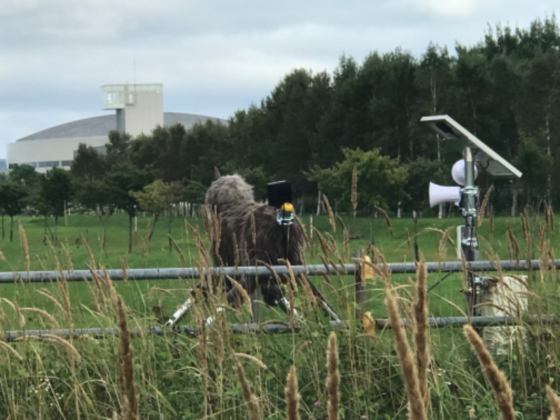 フコロミオンさんの天然温泉 ふみぞの湯のサ活写真