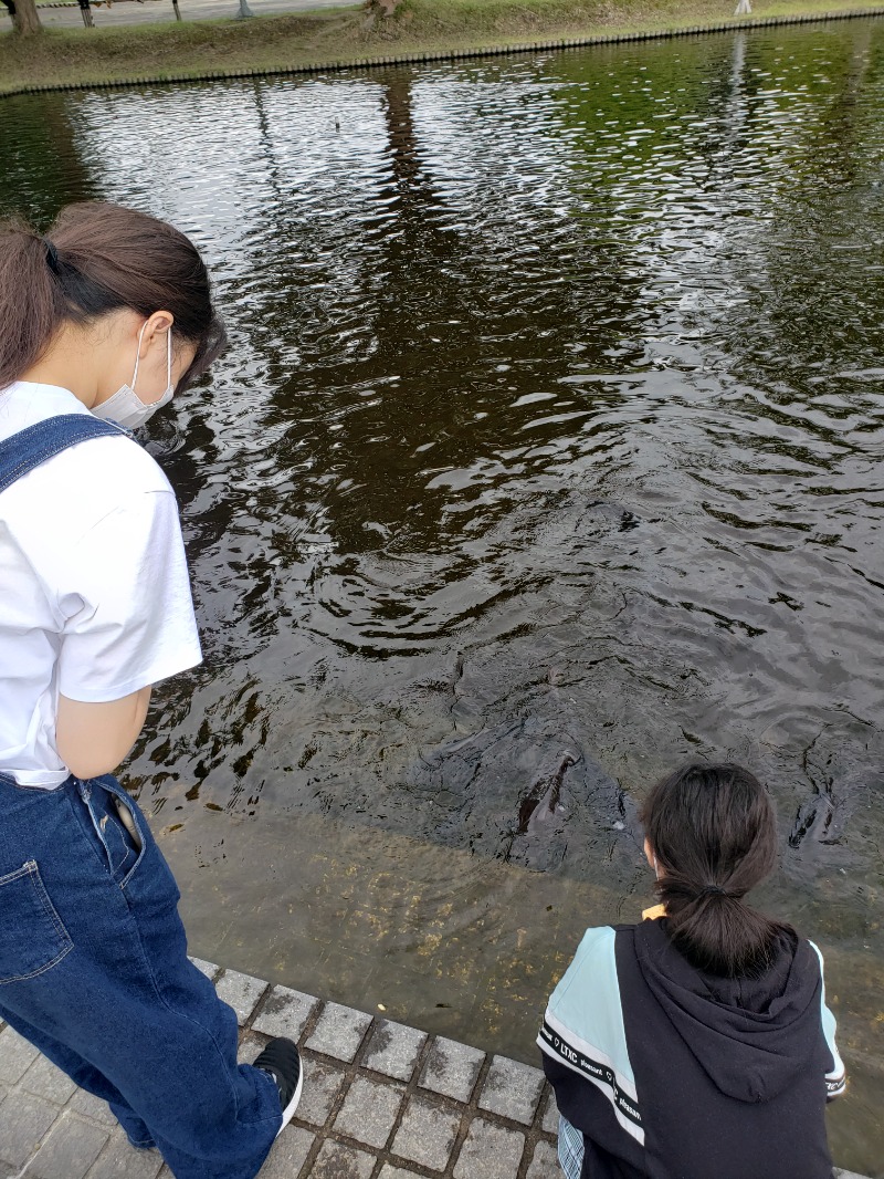 ほんまさんの板柳町ふるさとセンター 青柳館 ふるさと温泉のサ活写真