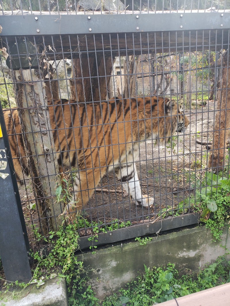 ほんまさんの吹上温泉保養センター 白銀荘のサ活写真