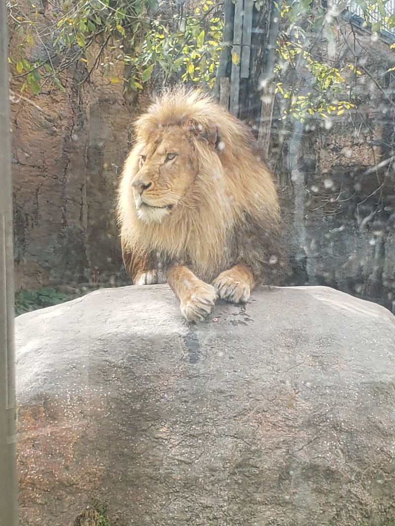 ほんまさんの吹上温泉保養センター 白銀荘のサ活写真