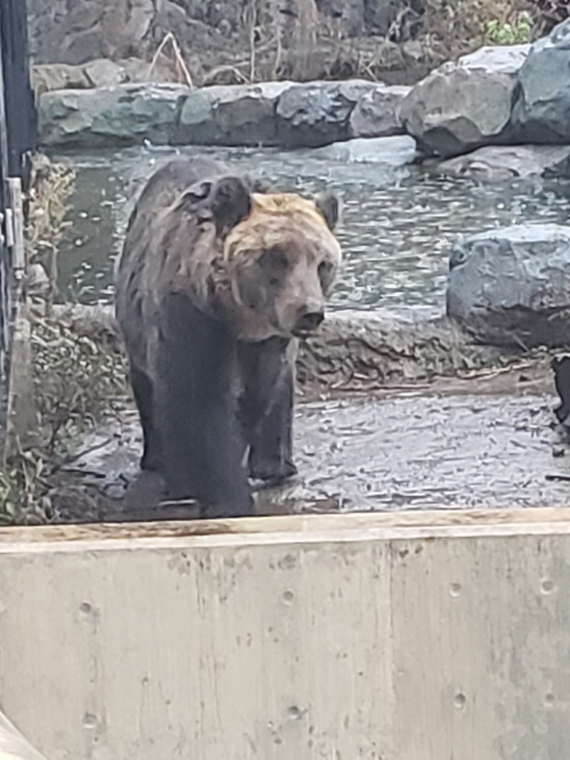 ほんまさんの吹上温泉保養センター 白銀荘のサ活写真