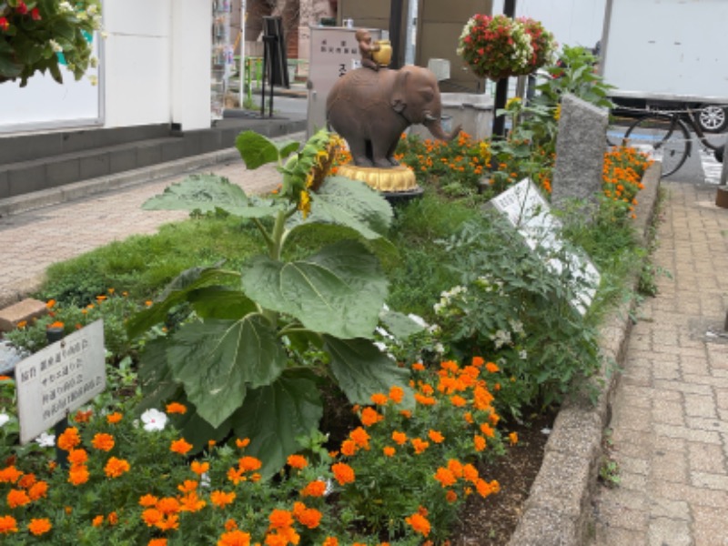 AtsushiさんのROOFTOPのサ活写真