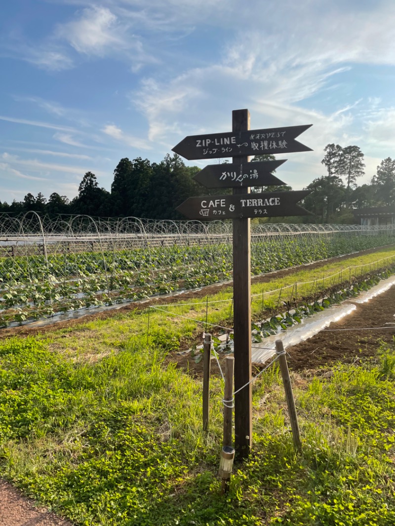 松野井 雅さんの農園リゾート THE FARMのサ活写真