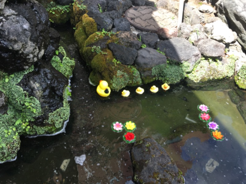 ずみりんさんの天然温泉ロテン・ガーデンのサ活写真