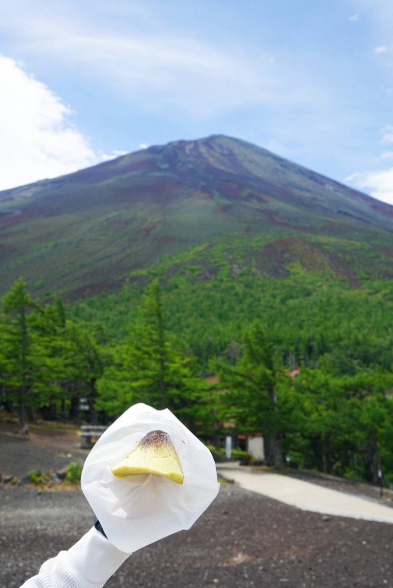 ずみりんさんのふじやま温泉のサ活写真