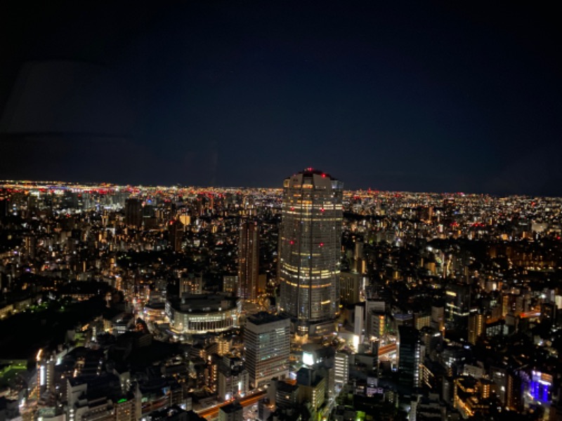 ｽﾞﾈさんのザ・リッツ・カールトン スパ 東京のサ活写真